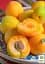 Саженец Agro-Market Абрикос Любимый 1 шт. в упаковке (43996) - миниатюра 2