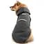 Куртка для собаки Picture Organic George Palace Black Ripstop L/XL (1012-MVT370B-L-XL) - миниатюра 2