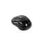 Мишка Gembird MUSW-6B-01-B Black (MUSW-6B-01) - мініатюра 3