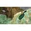 Гра Tomb Raider I-III Remastered для Nintendo Switch (EN + RU sub) (215725) [143641] - мініатюра 9