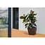 Вазон Plastkon Quadrato Flower Lover 34x34x32 см антрацит - миниатюра 4