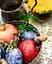 Саженец Agro-Market Слива Венгерка (поздний срок созревания) (36759) 1 шт. в упаковке - миниатюра 4