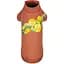 Толстовка для собак Pet Fashion Miley XS2 коричневая - миниатюра 1