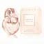 Парфюмерная вода Omnia Crystalline Eau De Parfum 100 ml - миниатюра 1