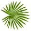Штучна рослина Engard Fan Palm 120 см (DW-27) - мініатюра 5