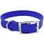 Нашийник для собак Coastal Fashion Waterproof Dog Collar 2,5х61 см біотановий - мініатюра 1