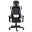 Крісло для геймерів 1stPlayer FK2 Black White - мініатюра 1