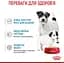 Вологий корм для вагітних собак і цуценят Royal Canin Starter Мother & Вabydog Мousse 195 г (4077002) - мініатюра 4