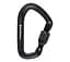 Карабін Black Diamond HotForge Screwgate Carabiner Чорний - мініатюра 1