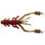 Силікон Reins Ring Shrimp 3" B20 Tomato Craw (8 шт/уп) - мініатюра 1