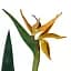 Штучна рослина Engard Strelitzia 120 см (TW-25 ) - мініатюра 4