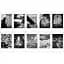 Фотопапір Fujifilm Monochrome Instax Mini Glossy 1x10 (70100137913) [105658] - мініатюра 3
