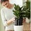 Вставка з автополивом Elho self-watering insert 17см (331566) - мініатюра 6