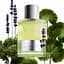Парфумована вода No brand Beau De Jour Eau De Parfum 2020, 100 мл - мініатюра 3