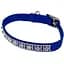 Нашийник для собак Coastal Jeweled 1x25 см (03201_BLU10) - мініатюра 1