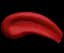Ультра-матова рідка помада L'Oréal Paris Les Chocolats, відтінок 864 (Tasty Ruby), 7,6 мл (A9674000) - мініатюра 2