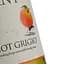 Вино LGC Fabulous Ant Pinot Grigio біле сухе 0.75 л - мініатюра 3