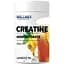 Креатин Willmax Creatine Monohydrate 500 г Лимонний чай - мініатюра 1