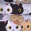 Наволочка MirSon Бязь Funny Cat 50х70 см (2200011041568) - миниатюра 5