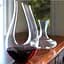 Декантер Riedel Amadeo 1.5 л (1756/13) - миниатюра 3