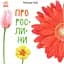 Книга Ранок В гостях у природи. Про рослини - Наталія Чуб (S934006У) - мініатюра 1