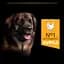 Сухий корм для дорослих собак великих порід Purina Pro Plan Large Robust Adult з куркою 14 кг (12375799) - мініатюра 7