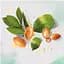 Бальзам-ополаскиватель Herbal Essences Марокканское аргановое масло 275 мл - миниатюра 5