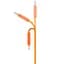 Кабель Proove AirLine Type-C to Type-C 60W (1m) orange - мініатюра 2