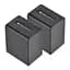 2-Pack KingMa Sony NP-FV100 комплект з 2 акумуляторів - мініатюра 1