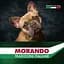 Сухий корм для собак Morando Tradizioni Grain Free з куркою та буряком 15 кг - мініатюра 5