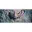 Гра Ghost of Yotei Collector Edition для PS5 (RU) [148396] - мініатюра 3