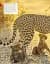 Born to be Wild. How Baby Animals Survive and Thrive - мініатюра 4