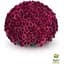 Саженец Agro-Market Хризантема мультифлора шаровидная Sorini Mauve (176482) 1 шт. в упаковке - миниатюра 2