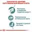 Вологий корм для дорослих котів Royal Canin Hairball Care, шматочки в соусі, 85 г - мініатюра 2
