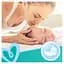 Уцінка. Набір дитячих вологих серветок Pampers Baby Fresh Clean, 1200 шт. (15 упаковок по 80 шт.) - мініатюра 7