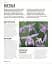 Grow Orchids. Essential Know-how and Expert Advice for Gardening Success - мініатюра 8