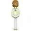 Мікрофон з караоке Epik DS810 Gold [153060] - мініатюра 1