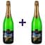 Вино ігристе ArtWinery Крим Україна біле напівсухе 0.75 л х2 шт. - мініатюра 1