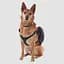 Рюкзак для собак Ultimate Direction Dog Vest V2 L Чорний-Сірий - мініатюра 2