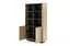 Стеллаж Perfect Home Торро / Torro 2D/113 2-дверный Дуб кремона/черный (PFH-091413) - миниатюра 6