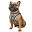 Шлея для собак Bronzedog Sport Vest Геометрия L 26х20х3 см - миниатюра 3