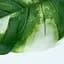 Штучне листя Engard Monstera Alba 78 см (TW-55) - мініатюра 6