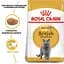 Сухой корм для британских короткошерстных взрослых котов Royal Canin British Shorthair Adult, с птицей, 2 кг - миниатюра 3