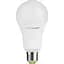 Світлодіодна лампа Eurolamp LED Ecological Series, А70, 15W, E27, 3000K (50) (LED-A70-15272(P)) - мініатюра 2