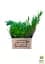 Саджанець Agro-Market Ялівець горизонтальний Wiltoni (контейнер Р9 висота 10-20 см) 1 шт. в упаковці (25807) - мініатюра 2