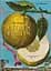 J. C. Volkamer. The Book of Citrus Fruits - миниатюра 1