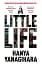 A Little Life - мініатюра 1