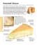 World Cheese Book - мініатюра 2