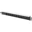 Силовий блок 19 1U w/PDU 10xC13, 10A, 250V, вилка C14 Digitus (DN-95404) - мініатюра 1