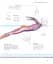 Science of Swimming. Transform Your Stroke, Improve Strength, Revolutionize Your Training - мініатюра 8